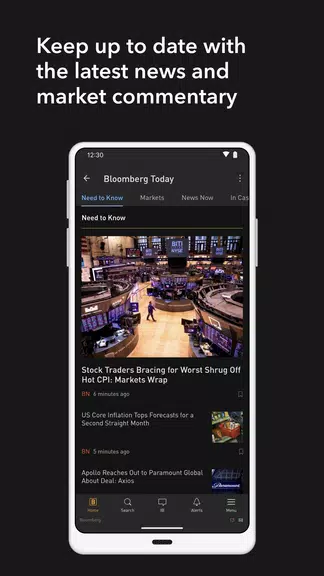 Bloomberg Professional Zrzut ekranu 3
