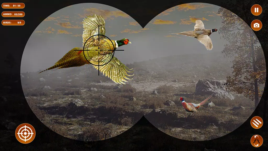 Pheasant Shooter Birds Hunting應用截圖第1張