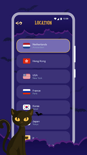 Accelerate VPN Zrzut ekranu 3