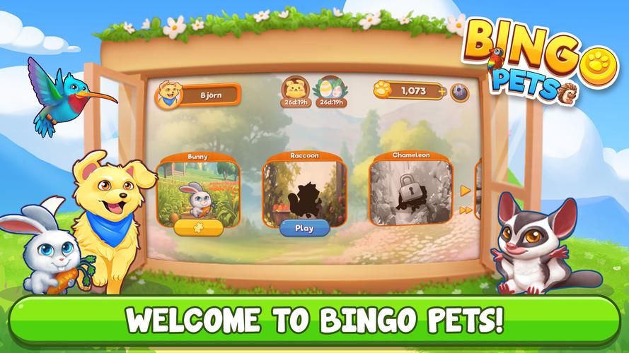 Bingo:  Free the Pets应用截图第1张