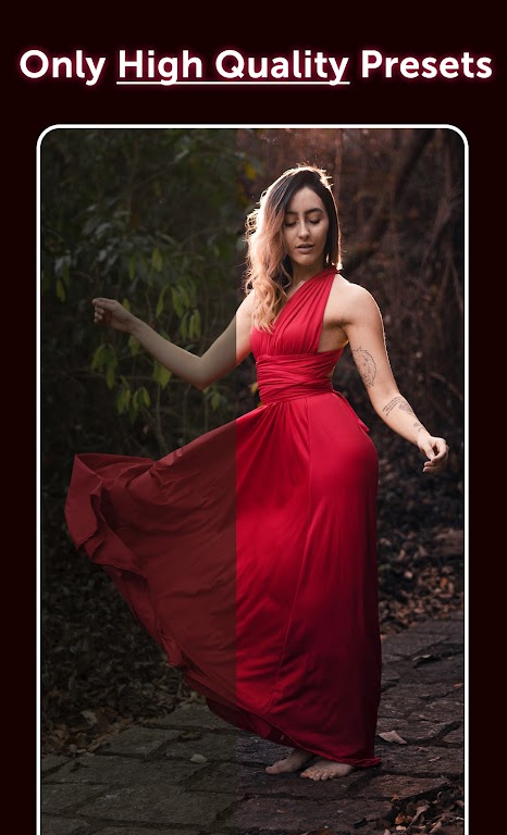 Schermata Preset: Lightroom Presets Mod 3