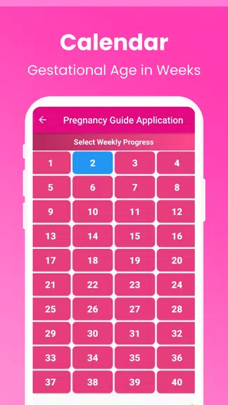 Pregnancy Guide - A Mom Screenshot 4