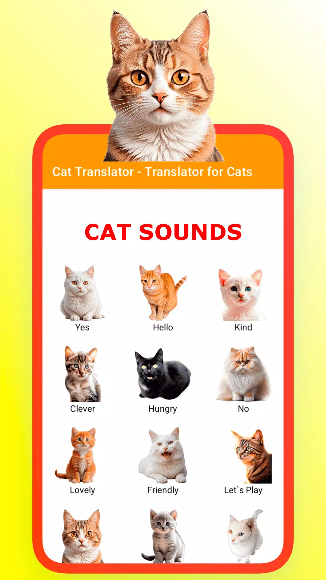 Schermata Translator for Cats Prank 1