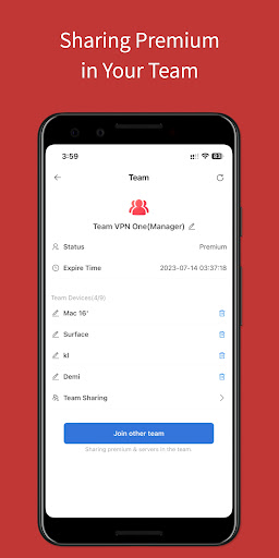 Team VPN Screenshot 3