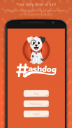 Schermata Hashdog - Dog’s social network 1