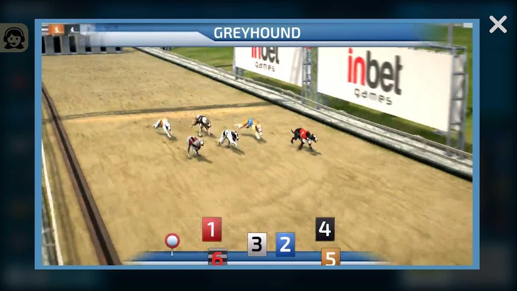Dogs3D Races Betting應用截圖第3張