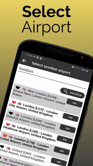 Brussels Airport Flight Info应用截图第3张