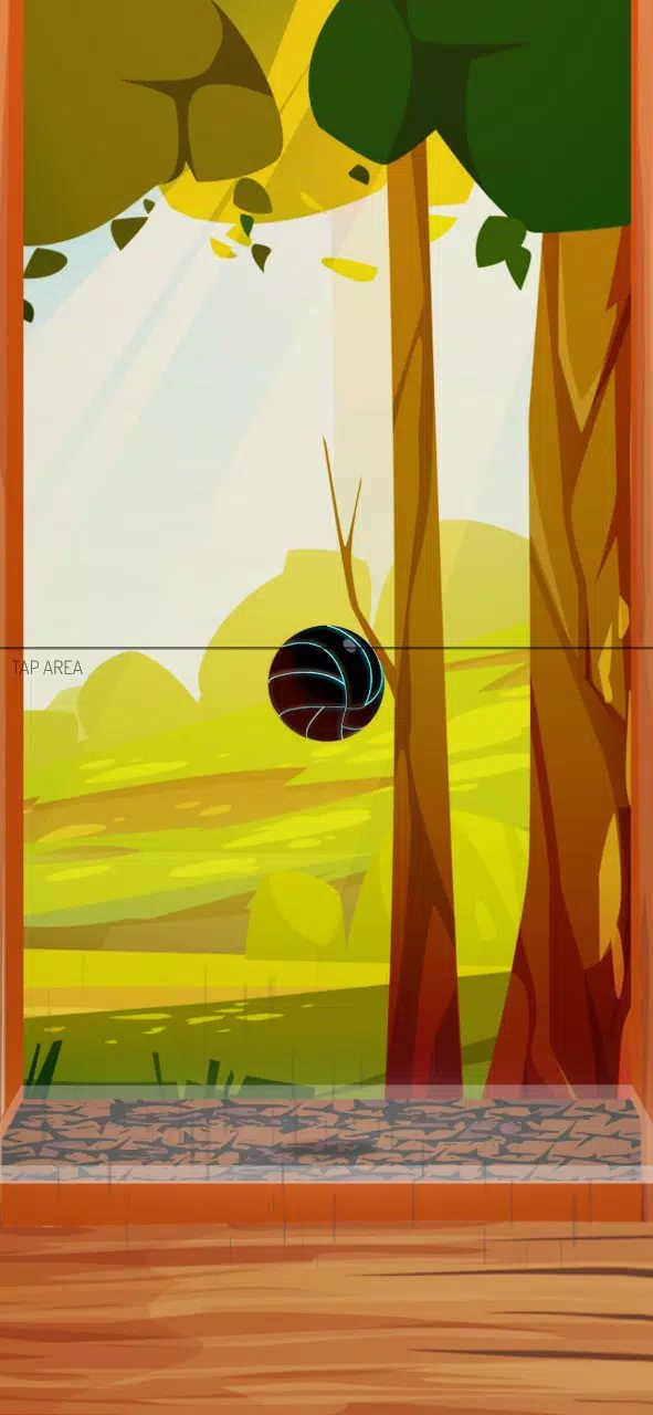 Dirs Dirs Ball Screenshot 2