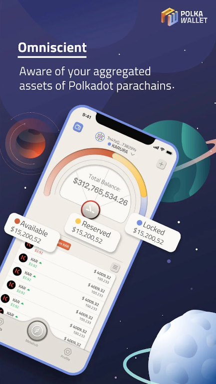 Polkawallet應用截圖第3張
