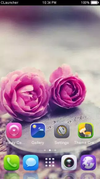 Pink Roses Theme C Launcher 스크린샷 3