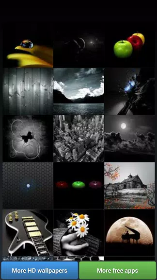 Black Theme HD Wallpapers Скриншот 2