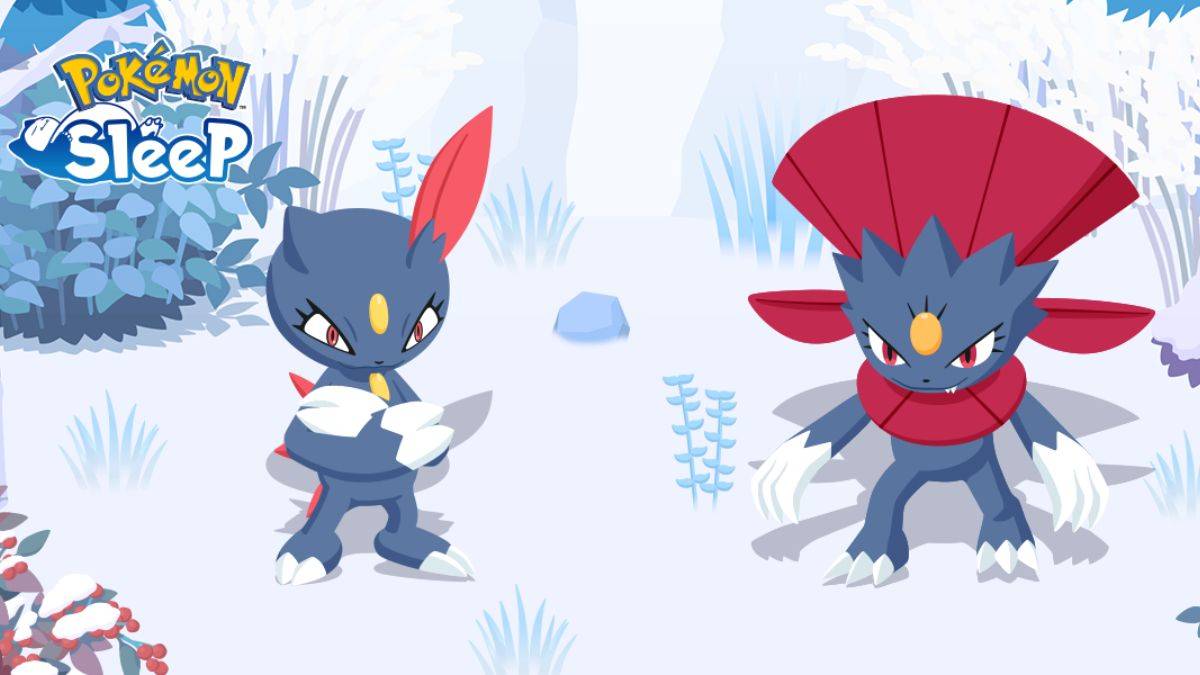 Ottieni Sneasel e Wealib: Pokémon Sleep arriva