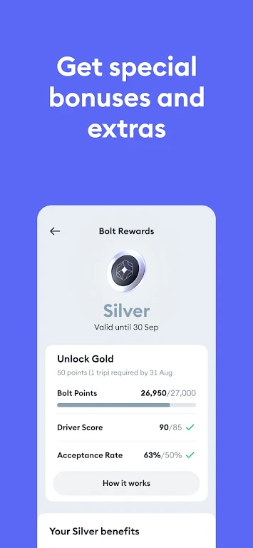 Bolt Driver: Drive & Earn 스크린샷 2