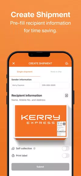 Schermata Kerry Express 2