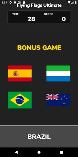 Flying Flags Ultimate應用截圖第2張