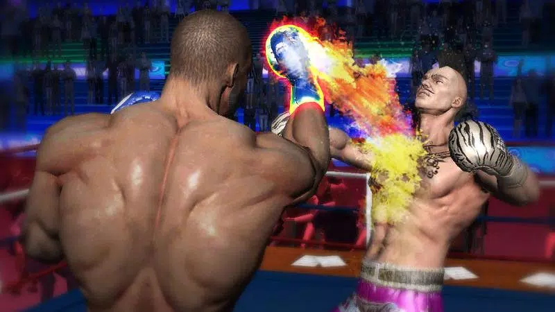 Punch Boxing 3D應用截圖第4張
