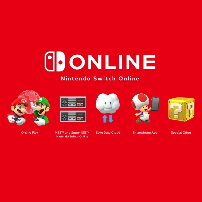 Nintendo Switch Online Price Details