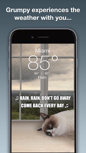 Grumpy Cat Weather スクリーンショット 2