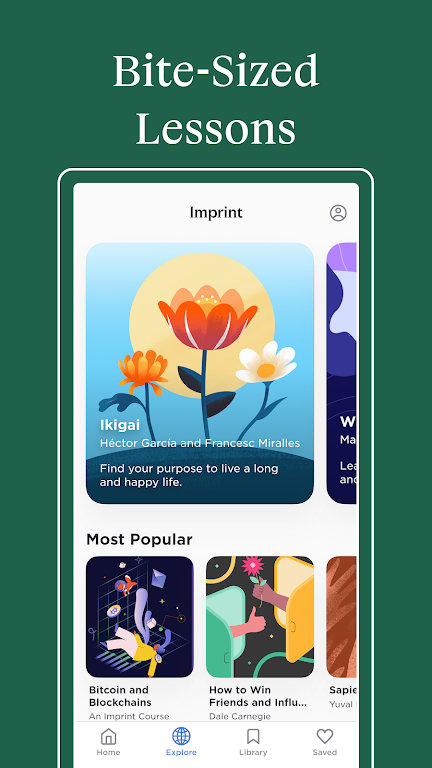 Imprint: Learn Visually Mod應用截圖第4張
