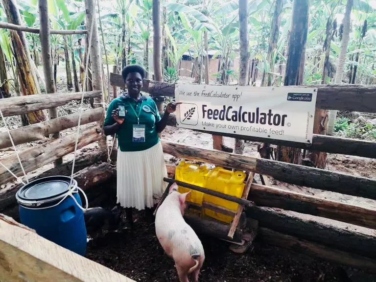 Feed Calculator for livestock Tangkapan skrin 2