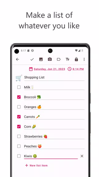 Offline Diary: Journal & Notes スクリーンショット 2