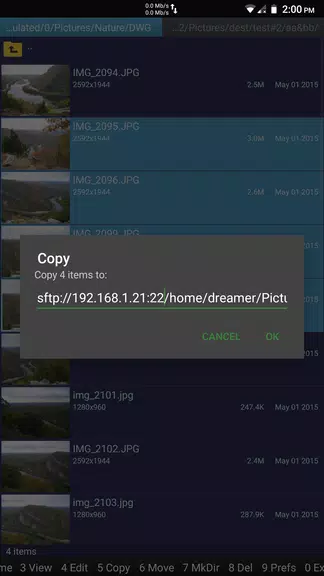 SFTP plugin to Ghost Commander Captura de pantalla 3
