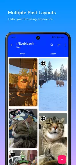 Infinity for Reddit ဖန်သားပြင်ဓာတ်ပုံ 2
