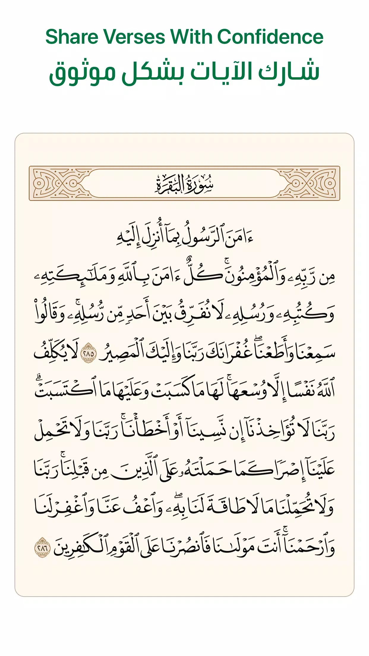 Ayah: Quran App Screenshot 4