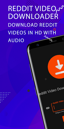 Schermata Video Downloader with Audio for Reddit 1