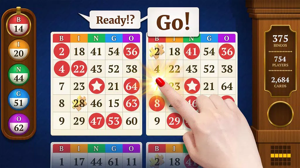 Power Bingo: Free Casino Games Ekran Görüntüsü 1