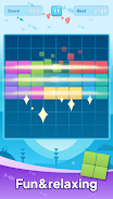 Block Puzzle Plus স্ক্রিনশট 3