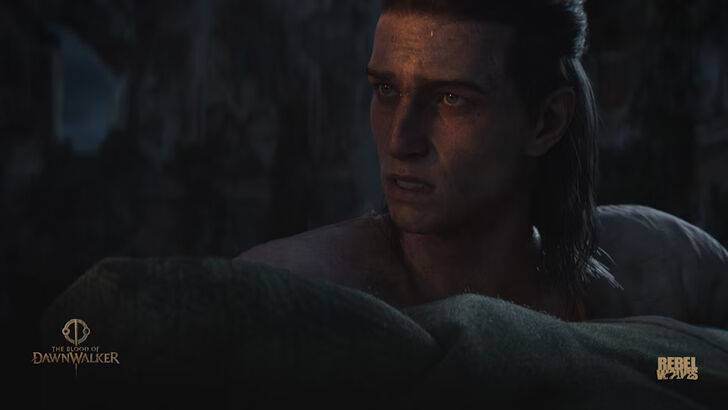 Dawnwalker開發人員的目標巫師3質量