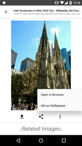 ImageSearchMan – Image Search應用截圖第3張
