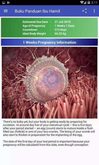 Pregnancy Guide Schermafbeelding 1