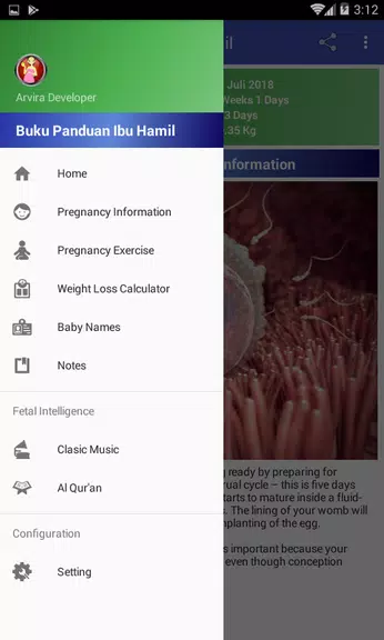 Pregnancy Guide Schermafbeelding 2