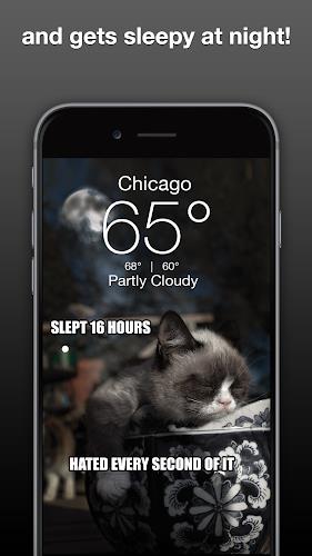 Grumpy Cat Weather スクリーンショット 3