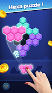 Block Puzzle Master স্ক্রিনশট 1