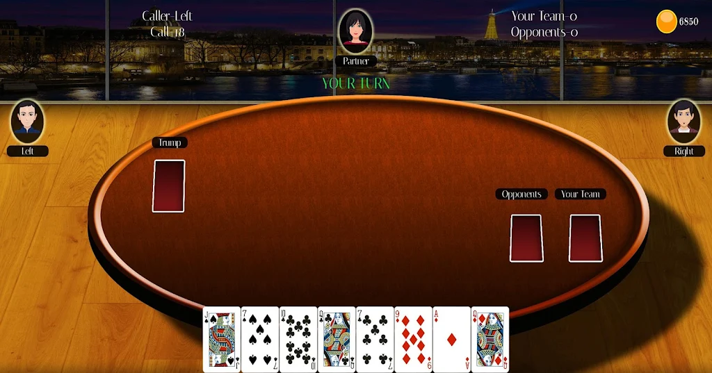 29 Card Game Lite应用截图第3张