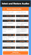 Deleted Audio Recovery ภาพหน้าจอ 4