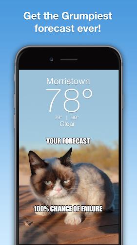 Grumpy Cat Weather スクリーンショット 1