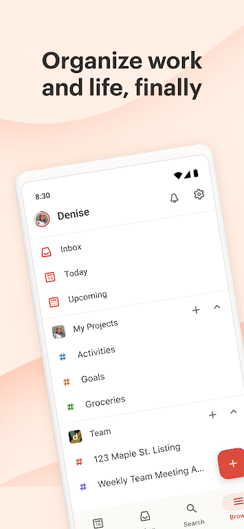 Todoist：待辦列表&計劃應用截圖第1張