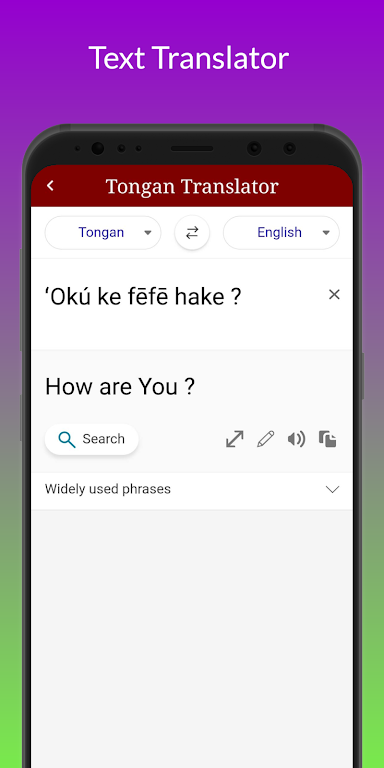 Tongan Translator Captura de pantalla 3