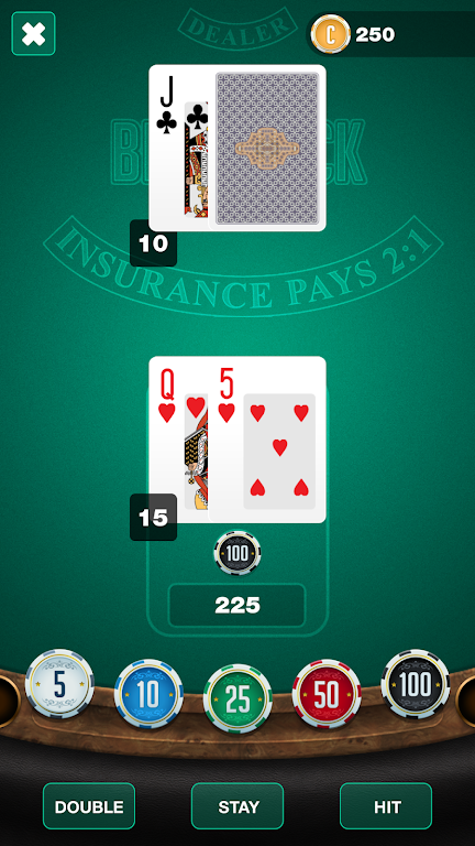 BlackJack TwentyOne Schermafbeelding 4