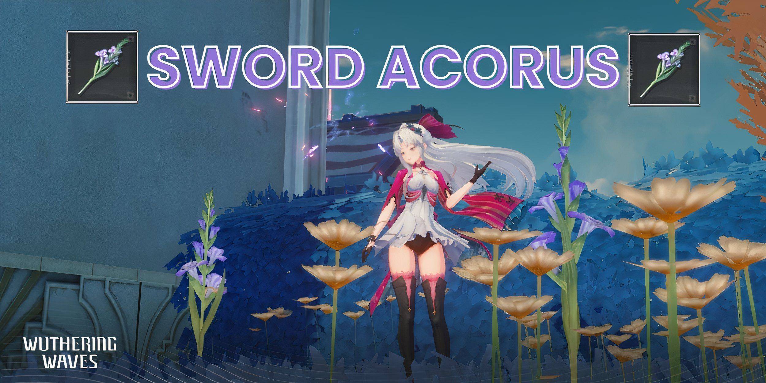 Wuthering Waves: Sword Acorus Uncovered