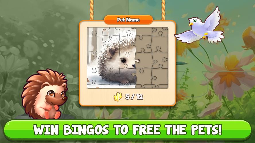 Bingo:  Free the Pets应用截图第3张