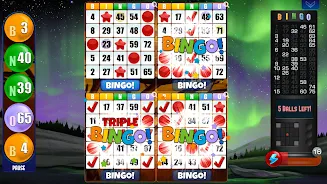Absolute Bingo 스크린샷 3