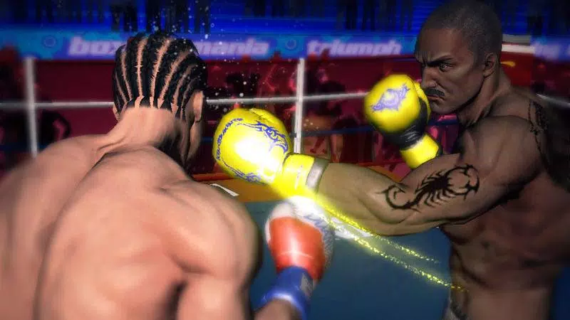 Punch Boxing 3D應用截圖第2張