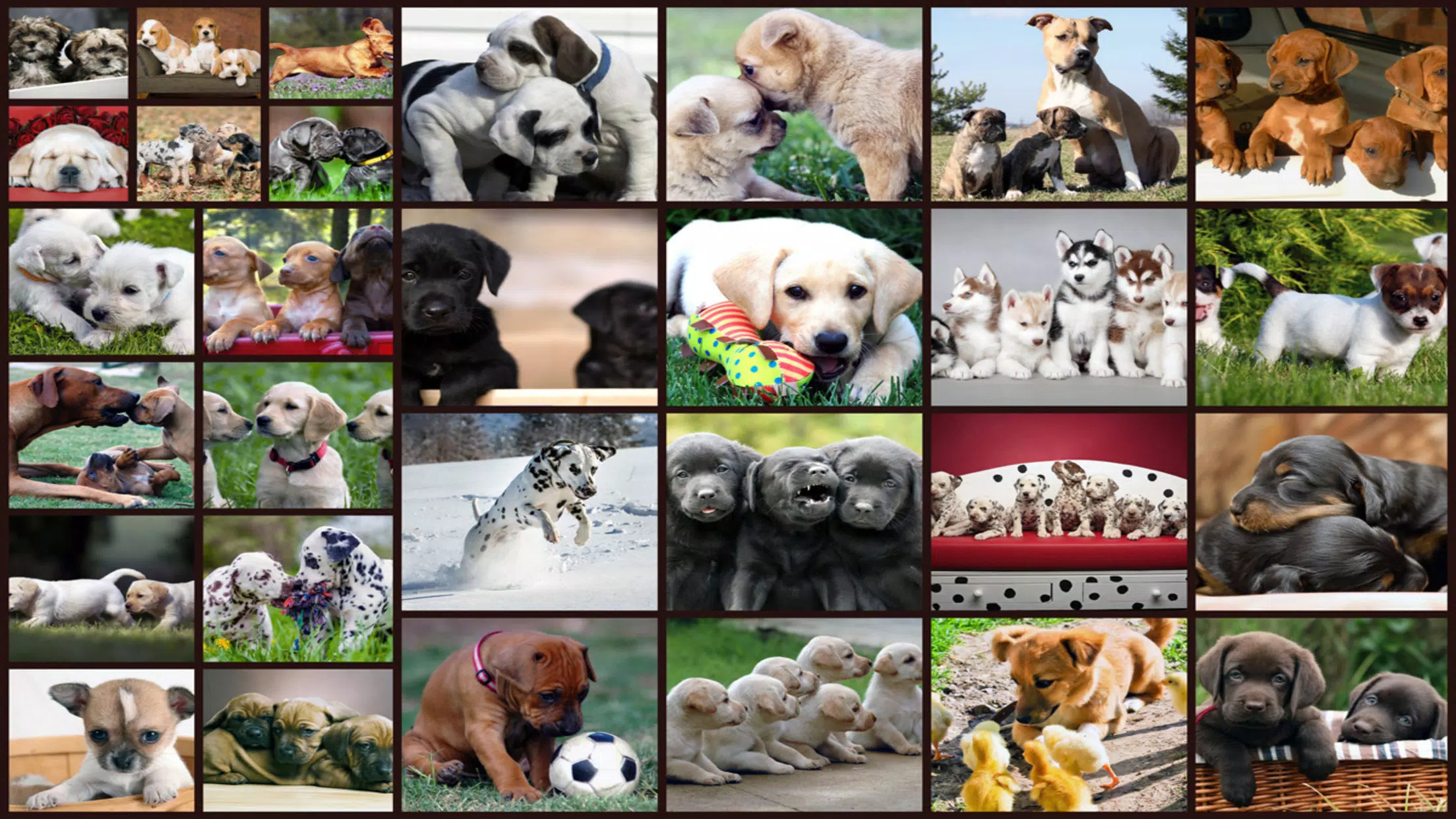 Puzzle Games Dogs Jigsaw ภาพหน้าจอ 1