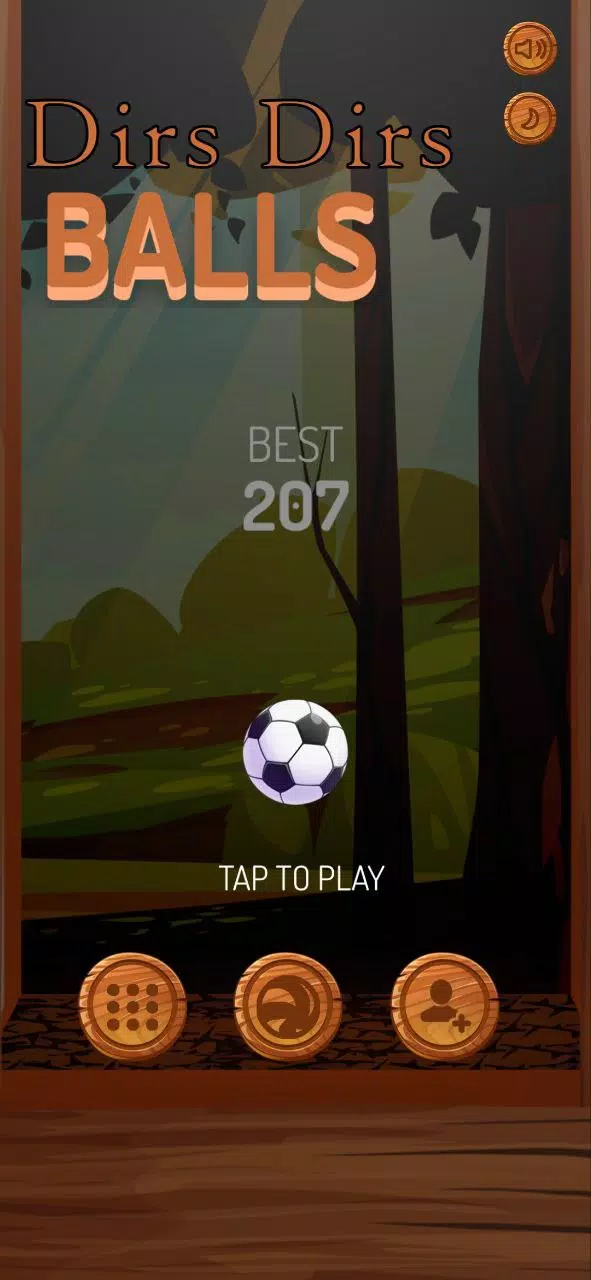 Dirs Dirs Ball Screenshot 1