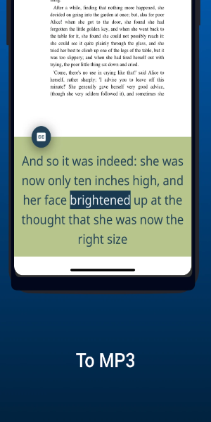 NaturalReader - Text to Speech Screenshot 3